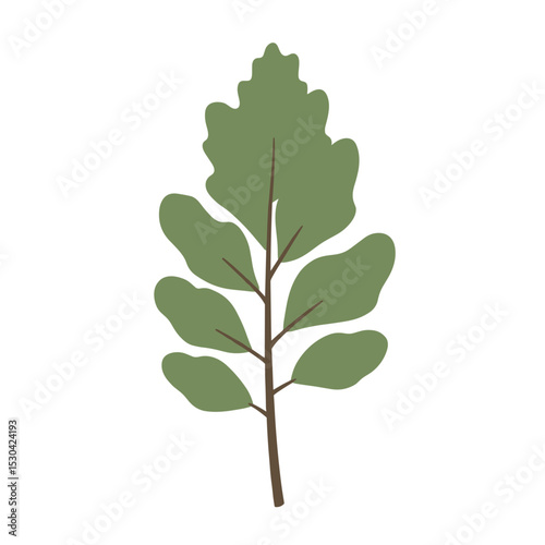 Stylized tree branch with green leaves and brown stem, isolated against a plain white background