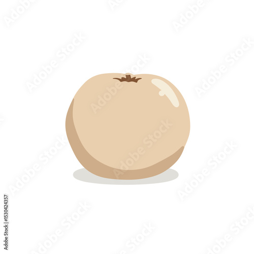Simple, flat, cartoon illustration of a longan on a white background