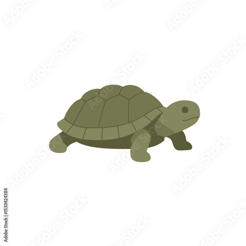 Green turtle illustration with patterned shell, walking right on a white background