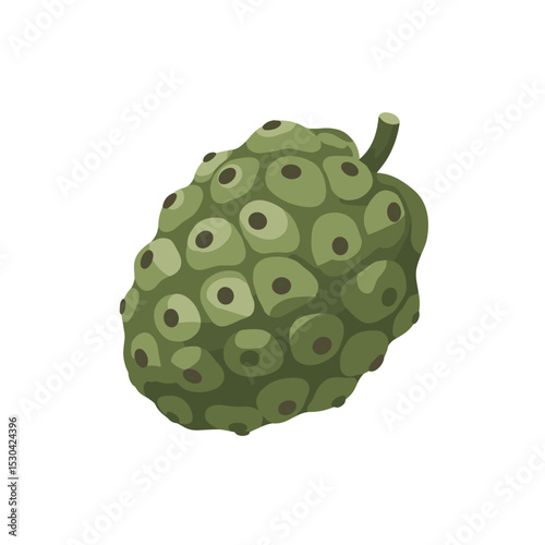 Stylized illustration of a bumpy, green noni fruit with a short stem against a clean white background
