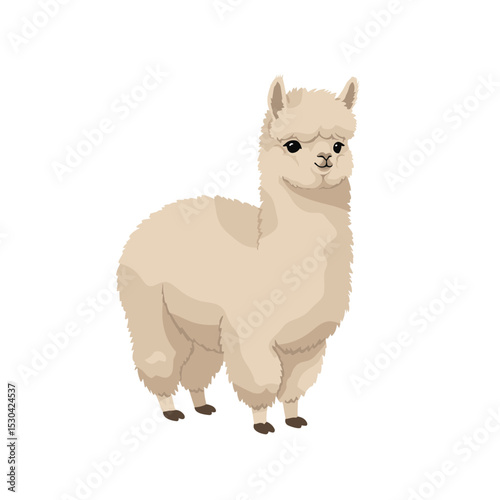 Illustration of a light brown alpaca looking at the viewer on a white background
