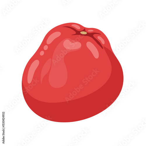 Cartoon style illustration of a glossy, reddish-pink tropical watery rose apple fruit