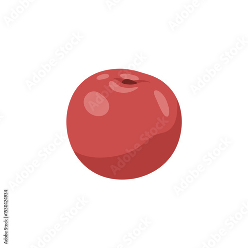 Stylized close-up of a red apple with a slight shadow on a white background
