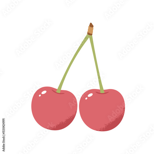 Two cherries with conjoined stems and glossy highlights on a white background