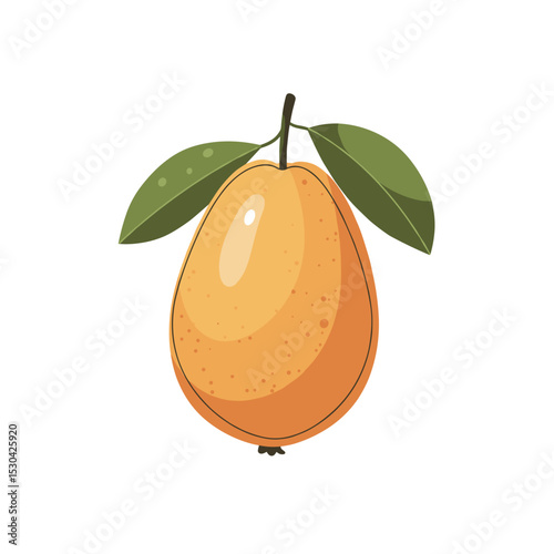 Cartoon illustration of an orange fruit with leaves and stem on a white background