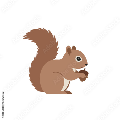 Cartoon squirrel holds acorn. The creature has large bushy tail, and simple facial features