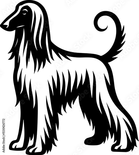 Afghan Hound.eps