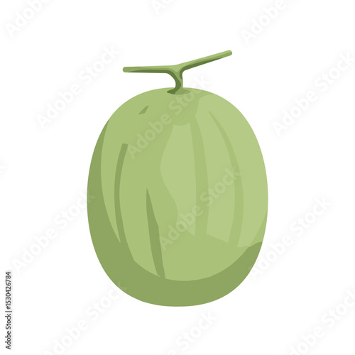 Simple illustration of a green cantaloupe with stem, with a solid white background