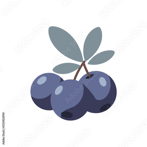 Stylized blue berries cluster with grey leaves, minimalist illustration against white background