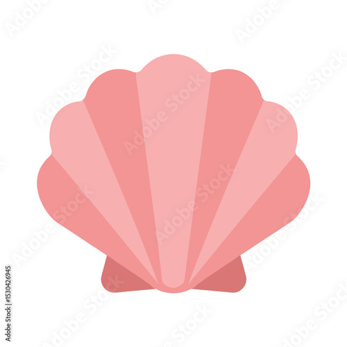 Pink seashell illustration
