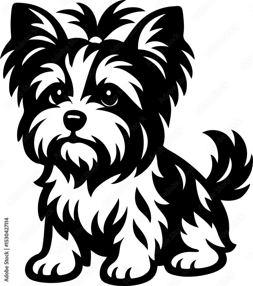 Fototapeta premium Biewer Terrier.eps