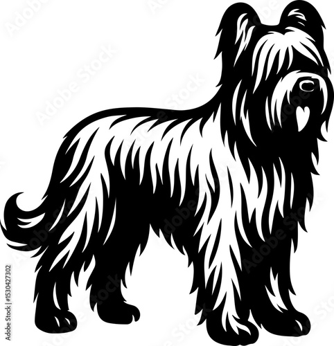 Briard.eps