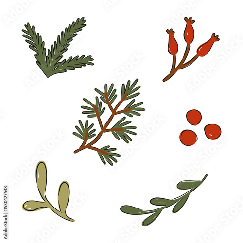 Christmas clip art set featuring vector botanical elements. Vector illustration