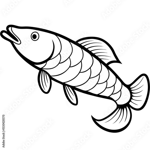 Simple Arapaima Vector on White Background