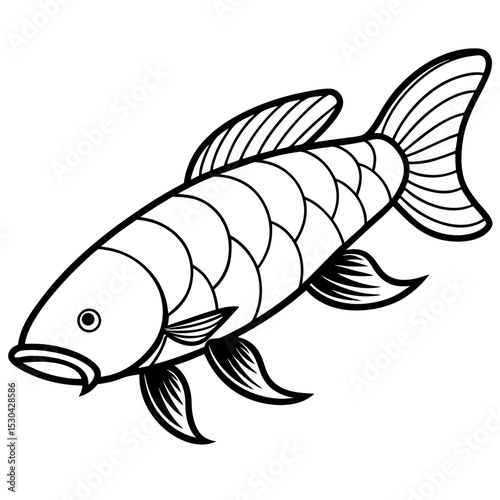 Simple Arapaima Vector on White Background