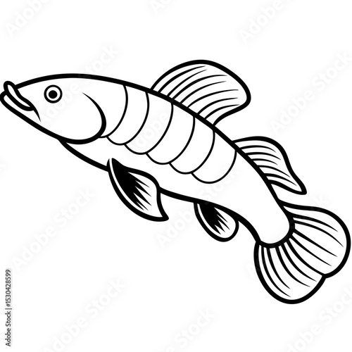 Simple Arapaima Vector on White Background
