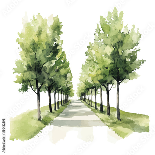 watercolor vector of Country Road Lined Trees, isolated on a white background.