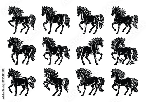 Photography set of horses