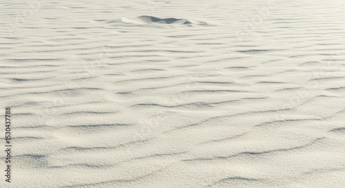 White Sand Dunes with Ripples in Sunlight Desert Landscape