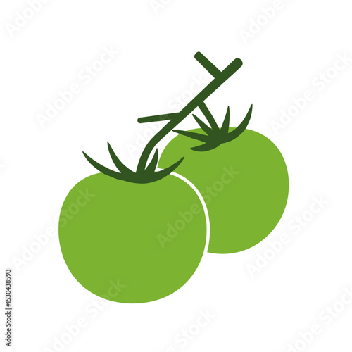 Fresh green tomatoes on a vine with a blurred garden background, showcasing growth