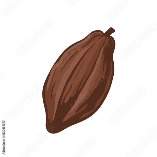 Detailed illustration of a cocoa pod against a plain background, showcasing its texture