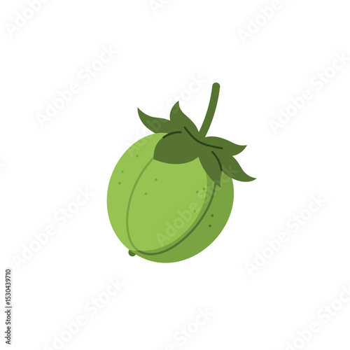 Vibrant green fruit with leafy stem against a clean white background, ideal for fresh produce themes