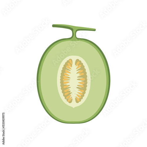 Illustration of a fresh melon cut in half, showcasing its seeds and interior texture