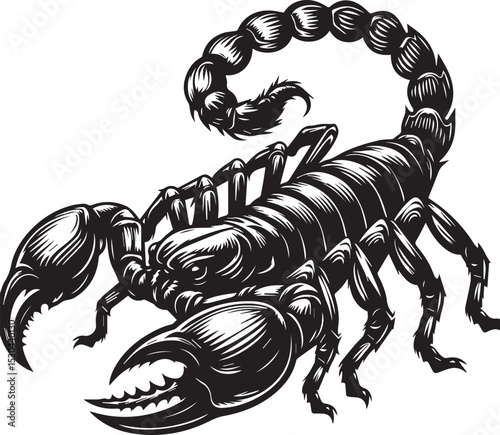 Black and White Scorpion Vector Illustration – Aggressive Insect Tattoo Design	
