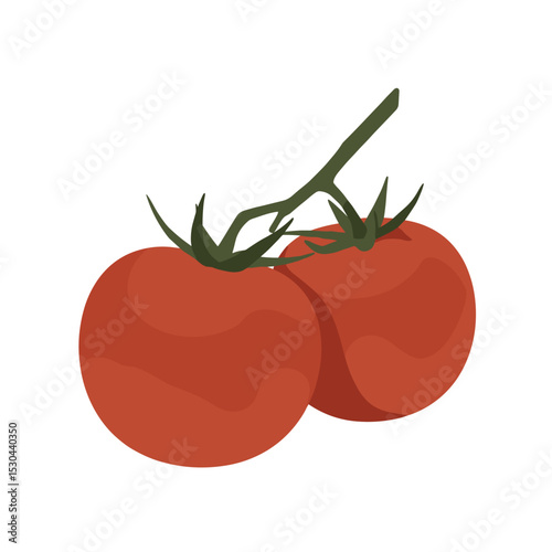 Two ripe tomatoes with green stems on a white background, ideal for food-related projects