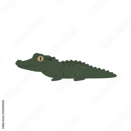 Cartoon crocodile lounging on a white background, ideal for children's illustrations