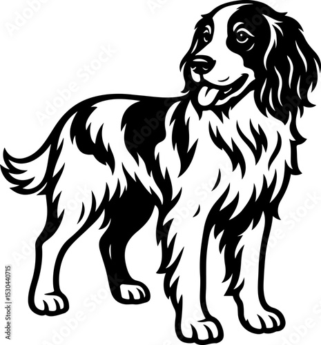 Irish Red and White Setter.eps