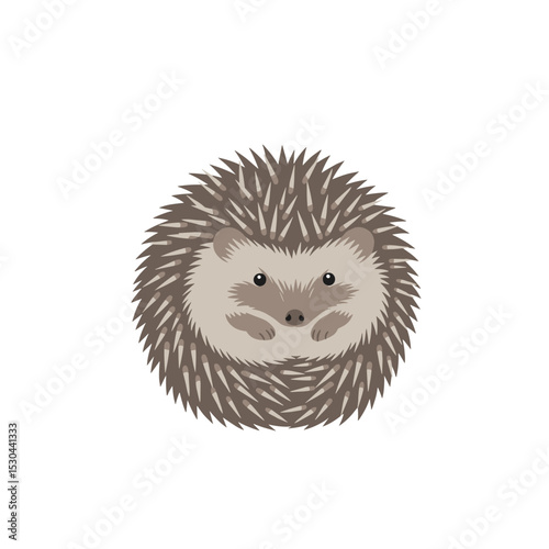 Cute cartoon hedgehog sitting on a plain background, showcasing its spiky fur and adorable features