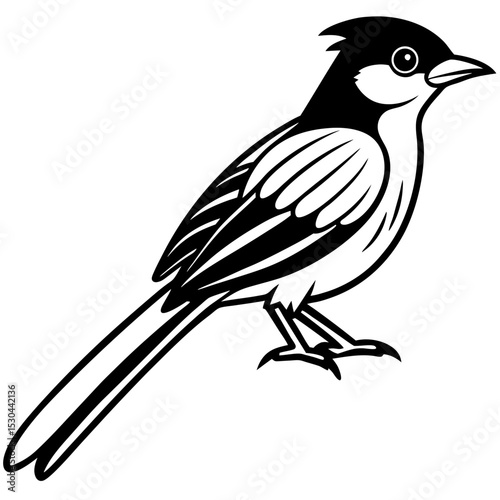 Verditer Flycatcher Vector on White