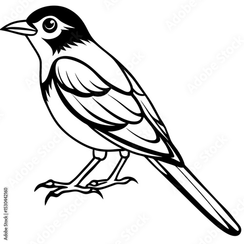 Verditer Flycatcher Vector on White