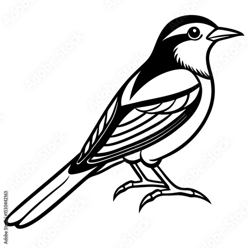 Verditer Flycatcher Vector on White