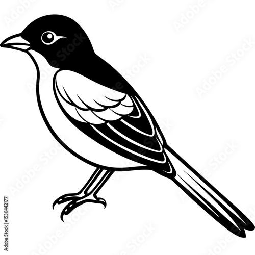 Verditer Flycatcher Vector on White
