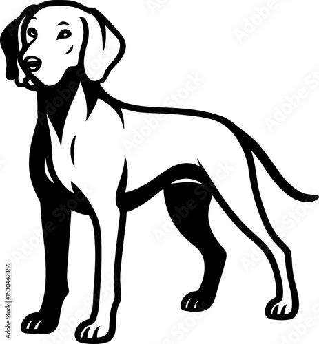Weimaraner.eps