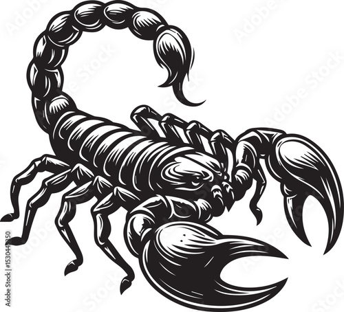 Black and White Scorpion Vector Illustration – Aggressive Insect Tattoo Design	
