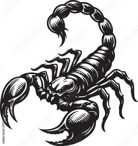 Black and White Scorpion Vector Illustration – Aggressive Insect Tattoo Design	
