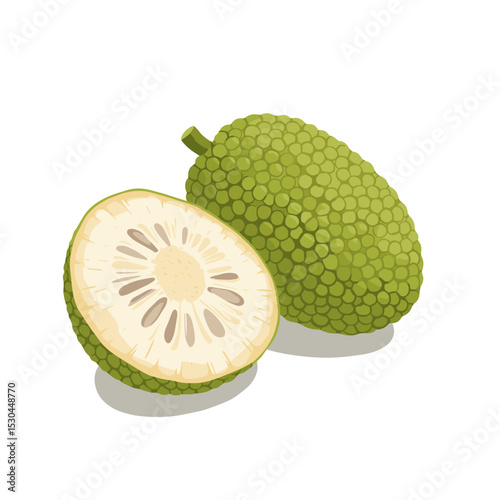 Fresh green jackfruit and sliced piece showcasing its unique texture and seeds