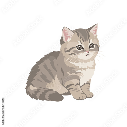 A cute gray tabby kitten sitting gracefully against a plain white background