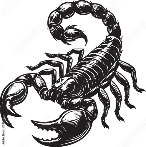 Black and White Scorpion Vector Illustration – Aggressive Insect Tattoo Design	
