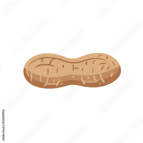 A close-up view of a single peanut, showcasing its texture and natural color, isolated on a white background, ideal for food-related content