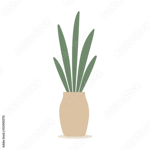House plants in pots. Element for design house, room or office. Isolated element on white background.
