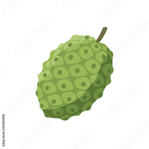 Close-up of a textured green fruit with a stem, isolated on a white background