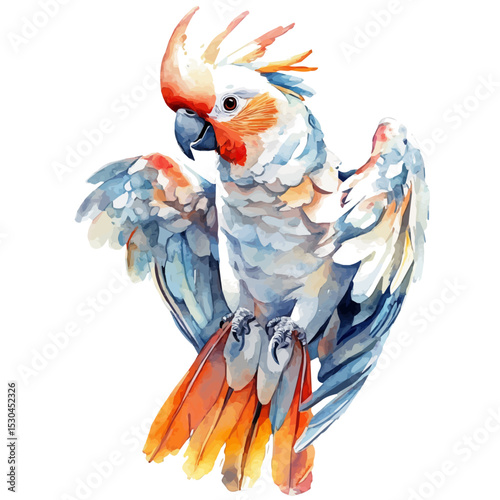 Cockatoo, watercolor illustration vector, isolated on a white background.