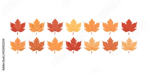 vector set of autumn leaves