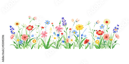 colorful spring flowers