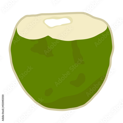 Cute hand drawn whole coconut. Fresh young coconut fruit with opened one.