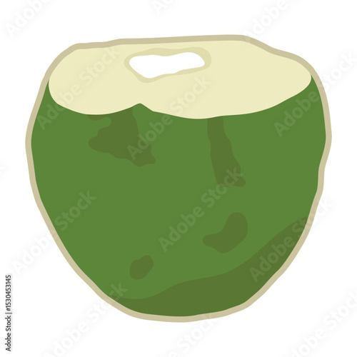 Cute hand drawn whole coconut. Fresh young coconut fruit with opened one.